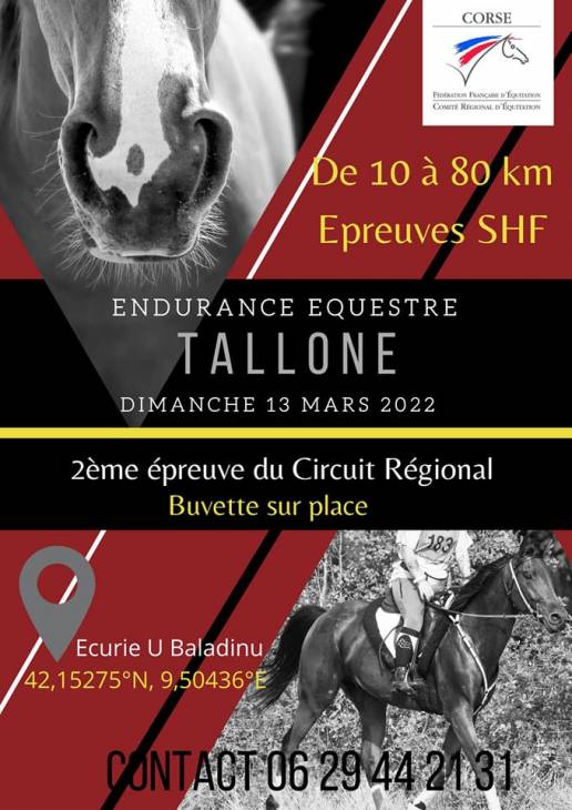 Texte alternatif