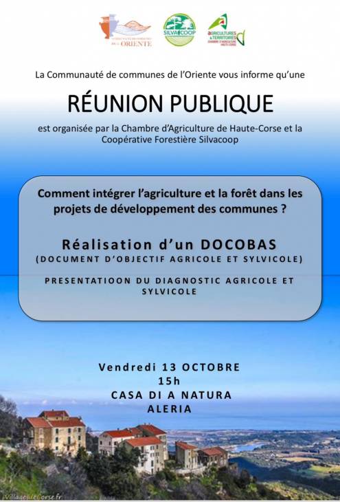 Texte alternatif