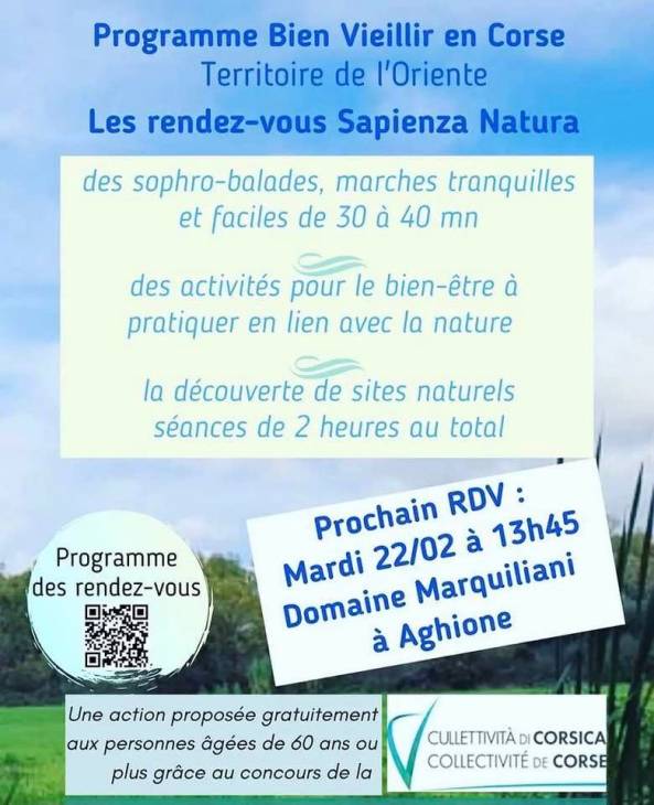 Texte alternatif