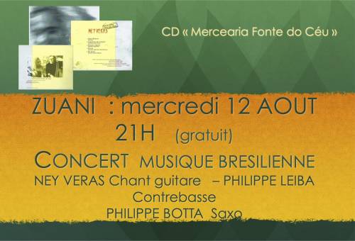 Texte alternatif