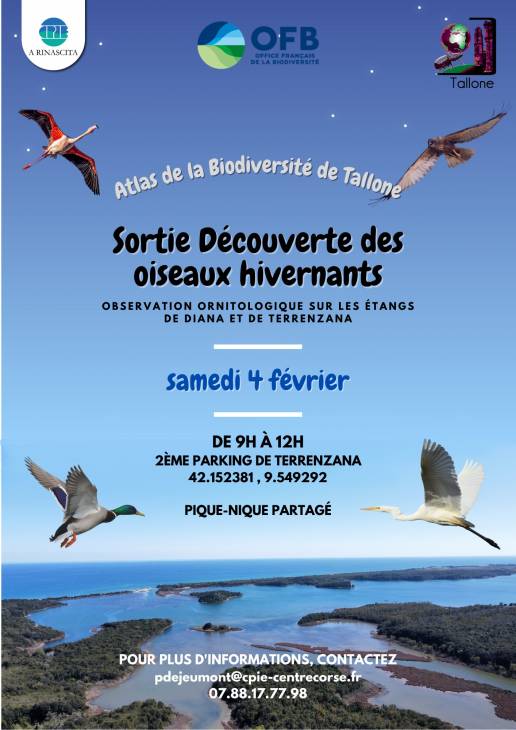 Texte alternatif