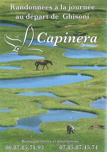 Texte alternatif