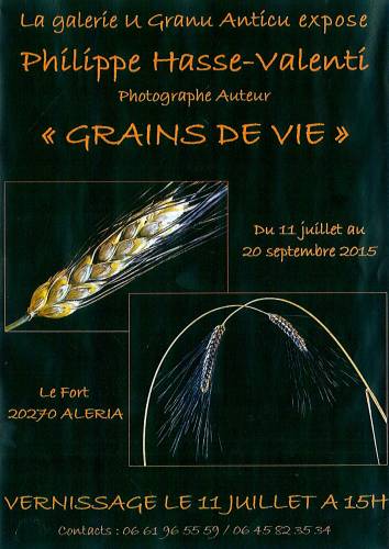 Texte alternatif