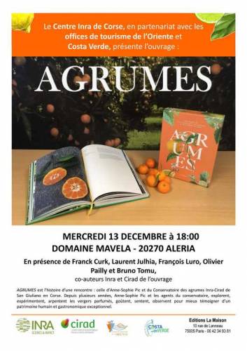 Texte alternatif