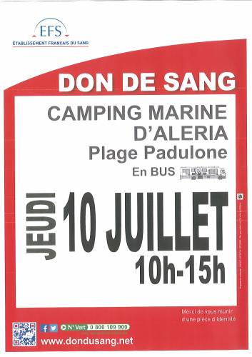 Texte alternatif
