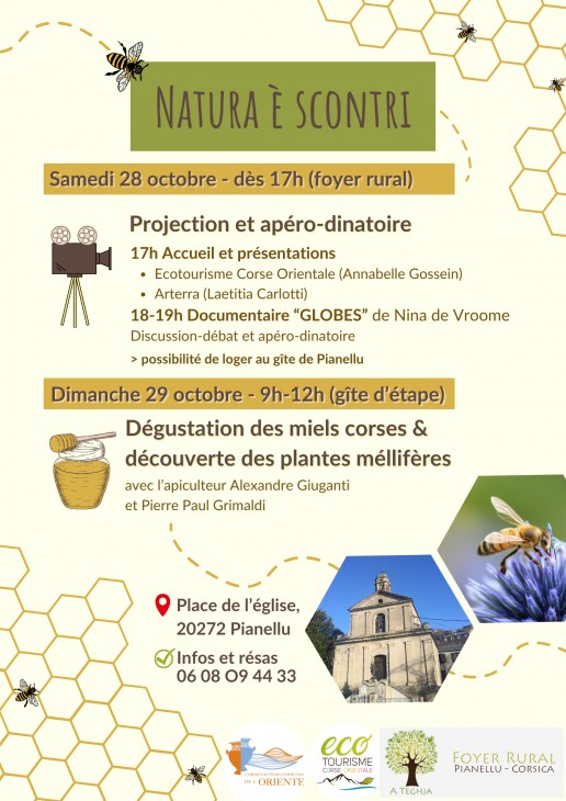 Texte alternatif