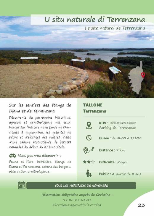 Texte alternatif