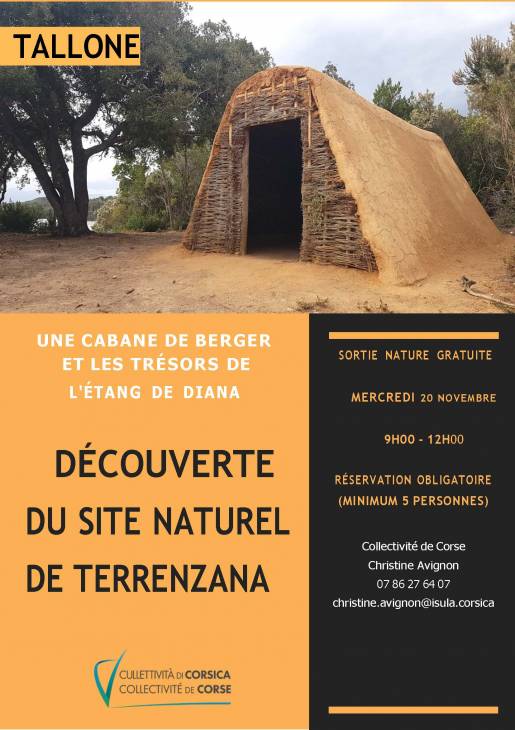 Texte alternatif