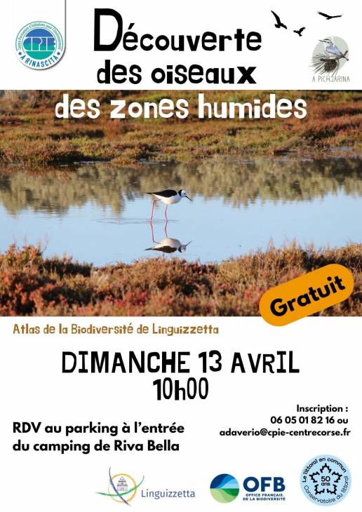 Texte alternatif