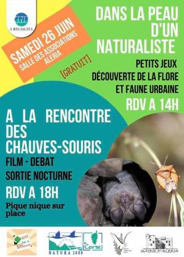 Texte alternatif
