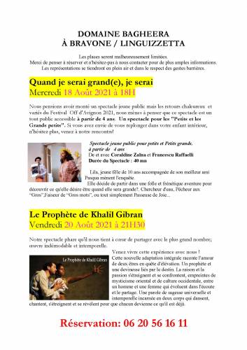 Texte alternatif