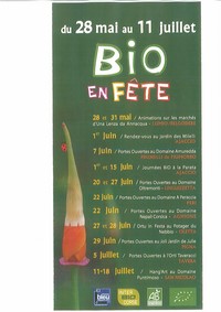Texte alternatif
