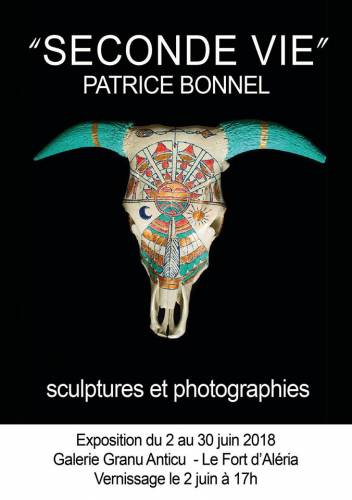 Texte alternatif