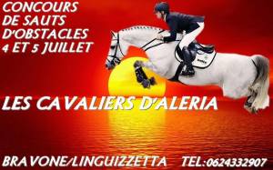Texte alternatif
