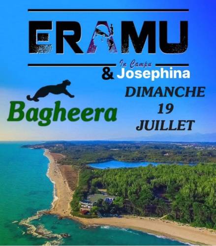 Texte alternatif