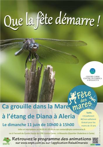 Texte alternatif