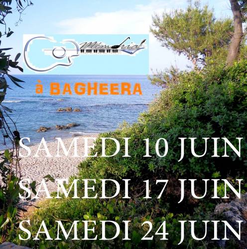 Texte alternatif