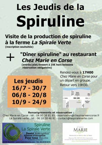 Texte alternatif