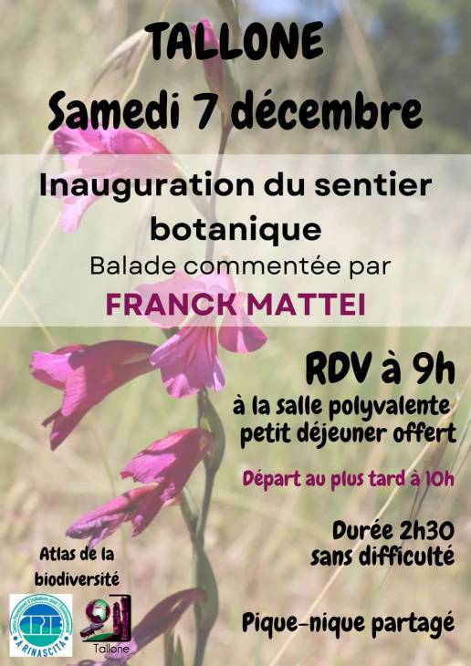 Texte alternatif