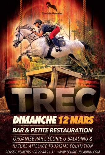 Texte alternatif