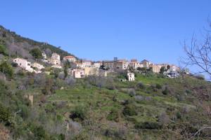 Texte alternatif