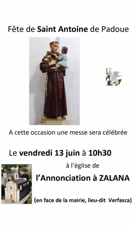 Texte alternatif